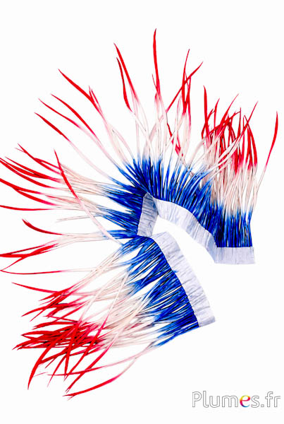 Gans guirlande - tricolor - blauw-wit-rood
